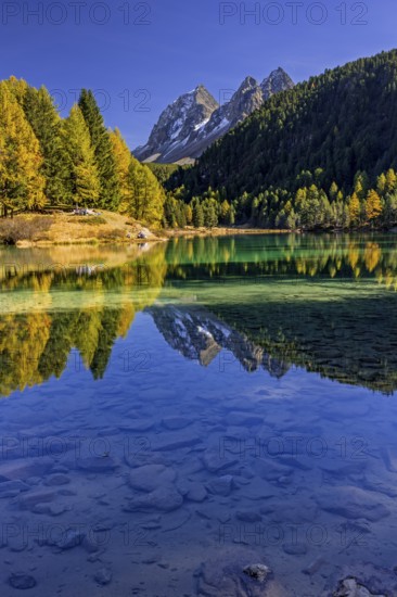 Mountain lake, reflection, mountains, larch forest, autumn discoloration, autumn, sunny, Lake Palpuogna, Engadin, Switzerland
