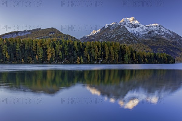 Mountain lake, reflection, mountains, larch forest, autumn discoloration, autumn, sunrise, Lake Sils, Engadin, Switzerland