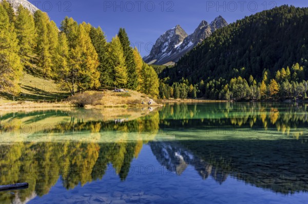 Mountain lake, reflection, mountains, larch forest, autumn discoloration, autumn, sunny, Lake Palpuogna, Engadin, Switzerland