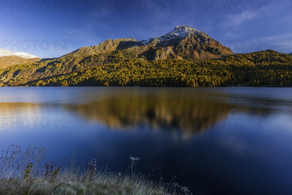Mountains are reflected in lake, evening light, larch, autumn, autumn color, Lake Sils, Engadin, Switzerland