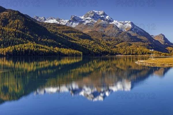 Mountain lake, reflection, mountains, larch forest, autumn discoloration, autumn, sunny, Silvaplana, Engadin, Switzerland