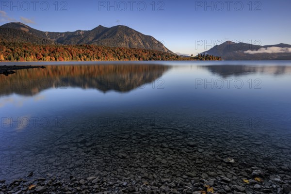 Mountain lake, reflection, morning light, mountains, shore, autumn, autumn color, Walchensee, Upper Bavaria, Bavaria, Germany