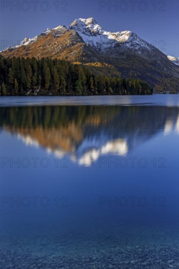 Mountain lake, reflection, mountains, larch forest, autumn discoloration, autumn, sunrise, Lake Sils, Engadin, Switzerland