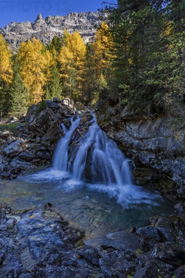Waterfall, river, larch forest, autumn color, autumn, mountains, morning light, Morteratsch Valley, Engadin, Switzerland