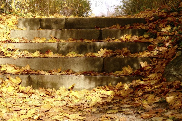 Natural stone staircase with autumn leaves, Germany