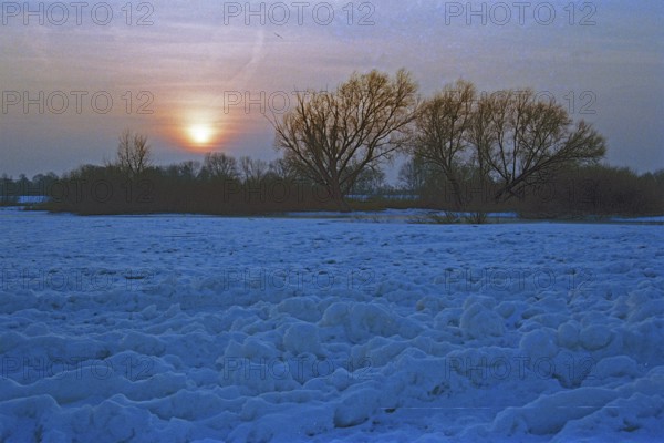 Frozen Elbe, trees, sunset, Bleckede, Lower Saxony, Germany, February 9, 1996, vintage, retro, old, historic
