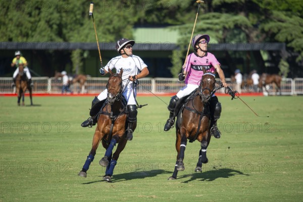 Scene at the 132nd Argentinean Open Polo Championship (Spanish Campeonato Argentino Abierto de Polo), player Mariano Gonzalez from team La Dolfina II and Antonio Heguy from team Ellerstina Indios Chapaleufú Vista fight for the ball, Buenos Aires, Argentina
