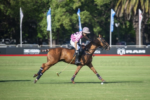 Scene at the 132nd Argentinean Open Polo Championship (Spanish Campeonato Argentino Abierto de Polo), player Antonio Heguy from the Ellerstina Indios Chapaleufú Vista team, Buenos Aires, Argentina