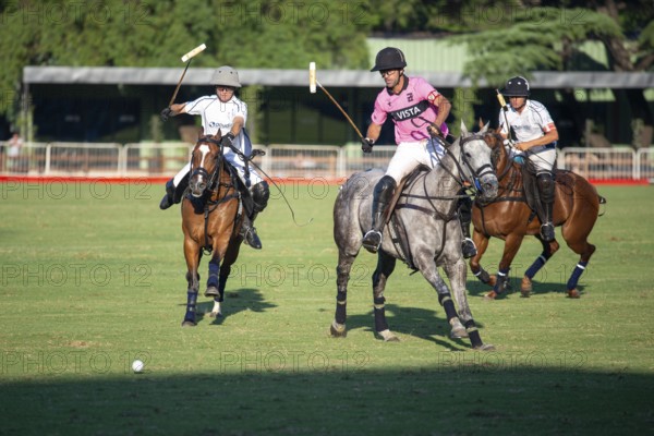 Scene at the 132nd Argentinean Open Polo Championship (Spanish Campeonato Argentino Abierto de Polo), player Gonzalo Ferrari from Team La Dolfina II and Facundo Pieres from Team Ellerstina Indios Chapaleufú Vista fight for the ball, Buenos Aires, Argentina