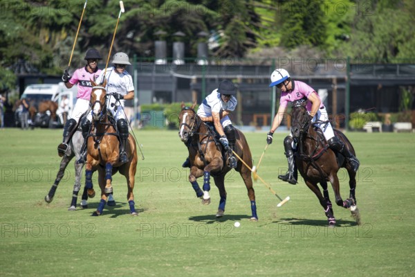 Scene at the 132nd Argentinean Open Polo Championship (Spanish Campeonato Argentino Abierto de Polo), player Lucas Criado from team La Dolfina II and Cruz Heguy from team Ellerstina Indios Chapaleufú Vista fight for the ball, Buenos Aires, Argentina