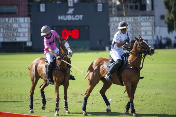 Scene at the 132nd Argentine Open Polo Championship (Spanish Campeonato Argentino Abierto de Polo), Antonio Heguy from the Ellerstina Indios Chapaleufú Vista team hits the ball against Mariano Gonzalez from the team La Dolfina II, Buenos Aires, Argentina