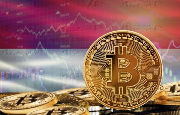 Investors in cryptocurrency and Blockchain Technology in Indonesia, Concept. Bitcoin with Indonesian flag