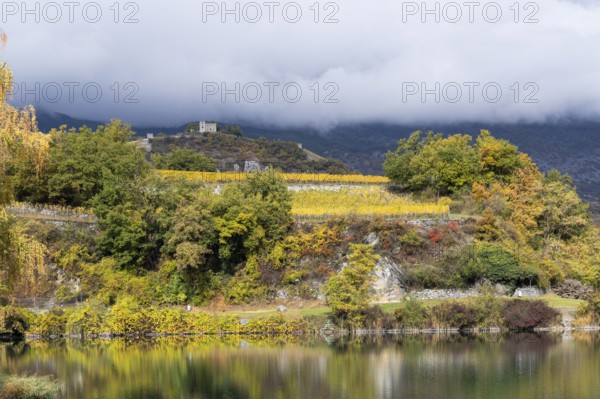 Terraced grape vineyards, steps up the hill in autumn colours in the Rhone Valley. Castle of Sierre stands on top of the hill. Colourful yellow orange image. Valais, Switzerland
