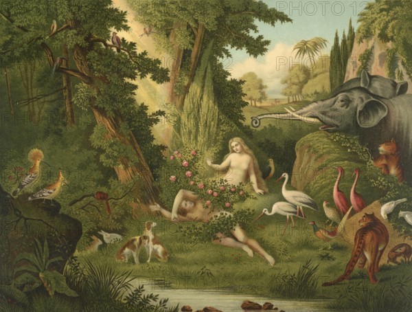 Biblical scene, Bible, The Creation of Eve, God created Eve from a rib of Adam after he let Adam fall into a deep sleep, illustration, reproduction from a 19th-century model. Authentic, file restored for optimal use, exact date of submission unknown, historical