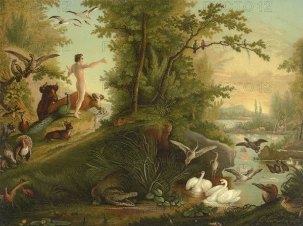 Biblical scene, Bible, Adam in paradise, illustration, reproduction from a 19th century model. Authentic, file restored for optimal use, exact date of submission unknown, historical