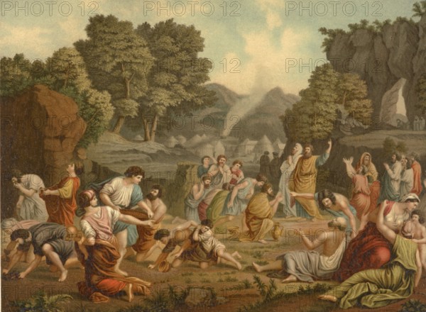Biblical scene, Bible, collecting manna in the wild, illustration, reproduction from a 19th-century model. Authentic, file restored for optimal use, exact date of submission unknown, historical