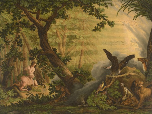 Biblical scene, Bible, Original Sin, a Christian concept that describes a state of separation from God into which every person is born as a descendant of Adam and Eve. It is not understood as a personal fault, but as a predisposition to selfishness and inner disorder that is passed on from generation to generation, illustration, reproduction from a 19th-century model. Authentic, file restored for optimal use, exact date of submission unknown, historical