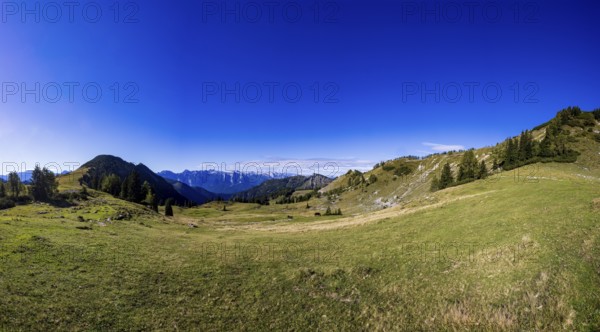 Hochzinkenalm, Postalm, Osterhorn Group, Salzkammergut, Province of Salzburg, Austria