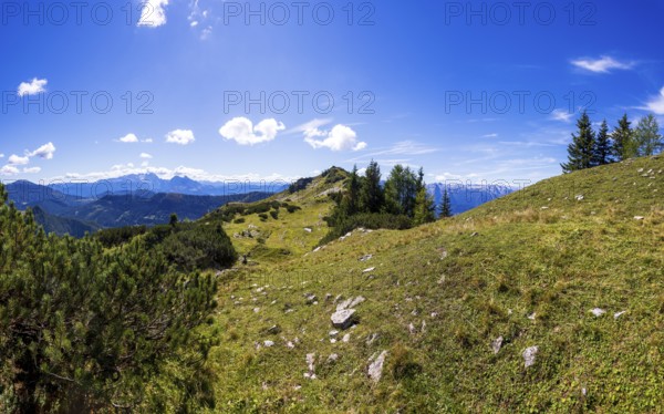 Hiking trail to Egelseehörndl, Postalm, Osterhorn Group, Salzkammergut, Province of Salzburg, Austria