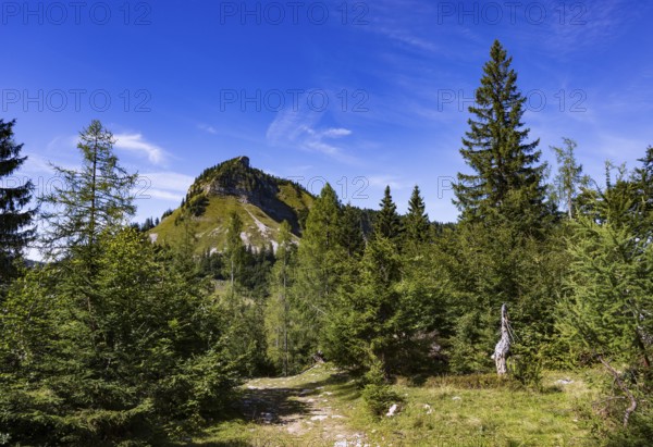 Hiking trail on the Genneralm with Holzeck, Postalm, Osterhorn Group, Salzkammergut, Province of Salzburg, Austria