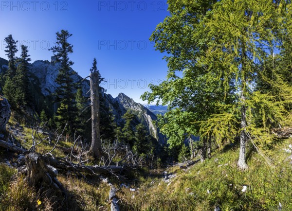 Mountain landscape on the way to Rettenkogel, Strobl, Postalm, Osterhorn Group, Salzkammergut, Province of Salzburg, Austria