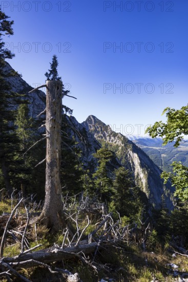 Mountain landscape on the way to Rettenkogel, Strobl, Postalm, Osterhorn Group, Salzkammergut, Province of Salzburg, Austria