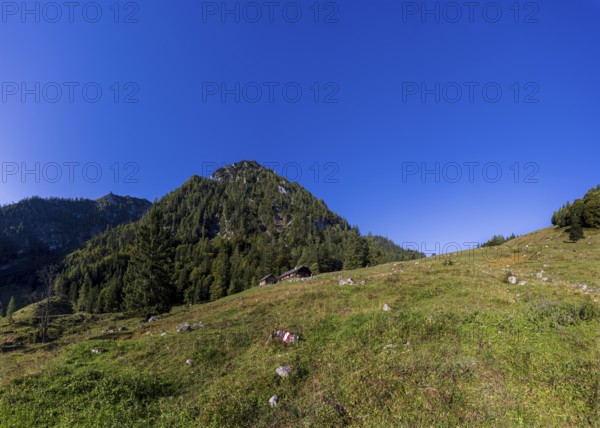 Sonntagskaralm on the way to Rettenkogel, Strobl, Postalm, Osterhorn Group, Salzkammergut, Province of Salzburg, Austria