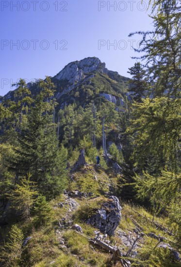 Hikers on the way to Rettenkogel, Postalm, Osterhorn Group, Salzkammergut, Province of Salzburg, Austria
