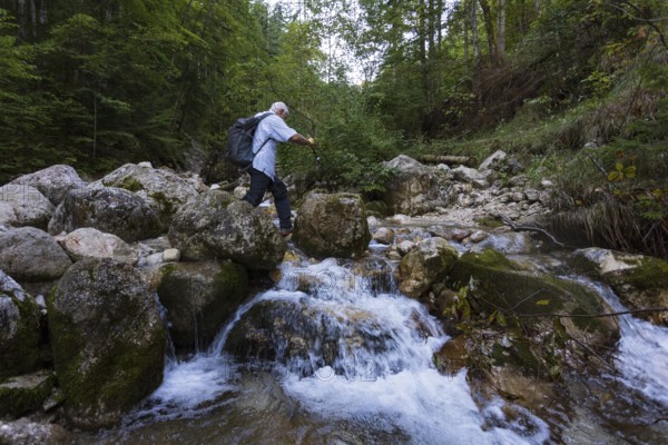 Hikers on the way to Rettenkogel and Bergwerkskogel, Schöffaubach, Postalm, Osterhorn Group, Salzkammergut, Province of Salzburg, Austria