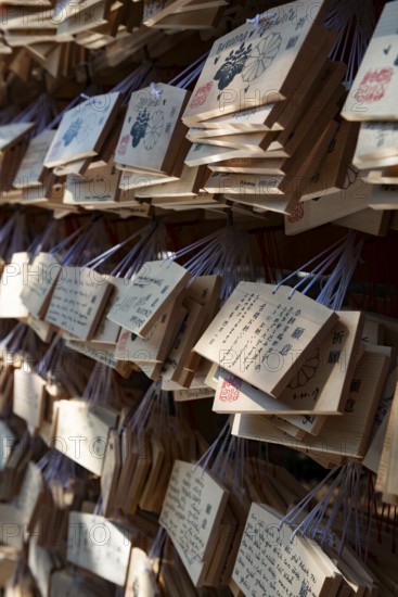 Ema, small wooden tablets with wishes and prayers, hung so that the Kami spirits or gods can receive them, Meiji Jingu, Meiji Shrine, Shinto Shrine, Yoyogi Park, Shibuya, Tokyo