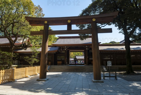 Torii at Meiji Jingu, Meiji Shrine, Shinto Shrine, Yoyogi Park, Shibuya, Tokyo