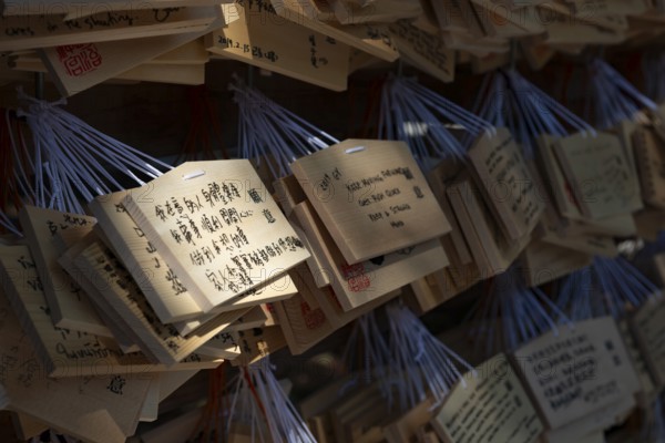 Ema, small wooden tablets with wishes and prayers, hung so that the Kami spirits or gods can receive them, Meiji Jingu, Meiji Shrine, Shinto Shrine, Yoyogi Park, Shibuya, Tokyo