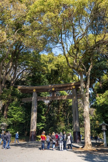 Kitasando Torii Grand Gate, Meiji Jingu Entrance, Meiji Shrine, Shinto Shrine, Yoyogi Park, Shibuya, Tokyo