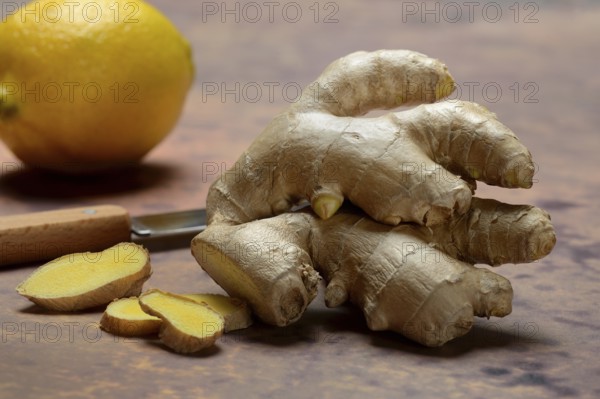 Ginger, ginger root and ginger slices, Zingiber officinale