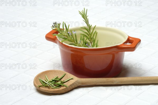 Rosemary, rosemary sprig in cooking pot and rosemary leaves in cooking spoon