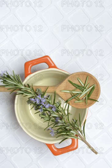 Rosemary, rosemary leaves on cooking spoon with cooking pot, rosemary sprig