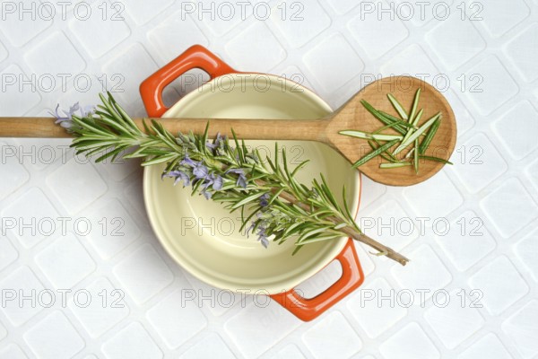 Rosemary, rosemary sprig on cooking spoon with cooking pot