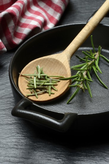 Rosemary, rosemary leaves and rosemary sprig with cooking pot