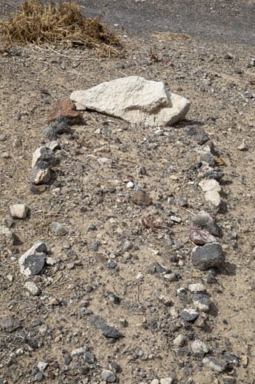 Goldfield, Nevada - Goldfield Historic Cemetery