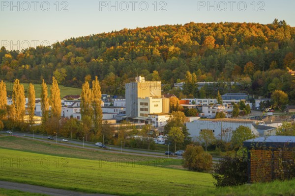City view with residential buildings and wooded hill in the background in the evening sun, Aidlingen, Böblingen district, Germany
