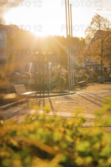 Sunny autumn atmosphere on a square with plants and long shade, Aidlingen, Böblingen district, Germany
