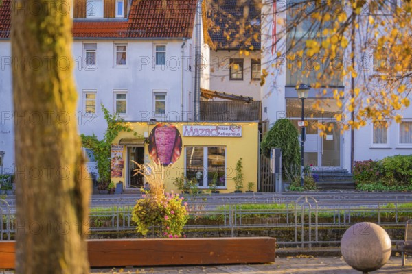Autumn village street with a pizzeria in the background and tree in the foreground, Aidlingen, Böblingen district, Germany