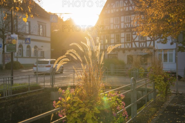 Sunset illuminates a village street with half-timbered houses and autumn decoration, Aidlingen, Böblingen district, Germany
