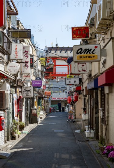 Lots of colorful signs of shops, restaurants and bars in a small alley, Shinjuku City, Tokyo, Japan