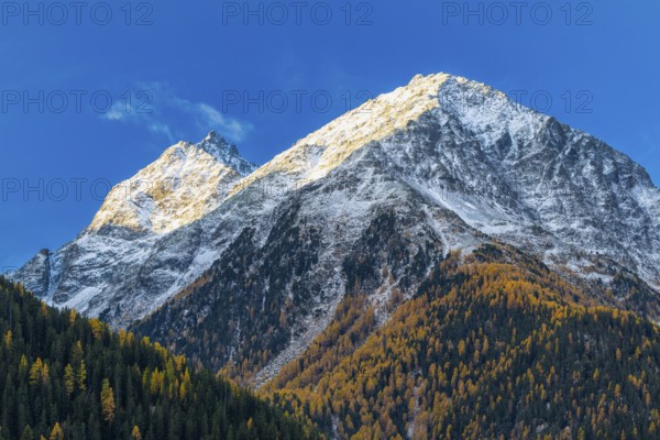 Mixed forest with larch trees (Larix) in autumn, mountain peaks with snow, autumn, Guarda, Engadin, Graubünden, Switzerland
