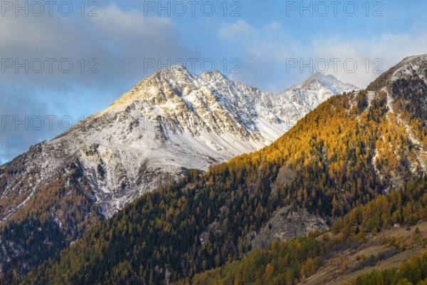 Mixed forest with larch trees (Larix) in autumn, mountain peaks with snow, autumn, Piz Chaste, Piz Murtera, Guarda, Engadin, Grisons, Switzerland