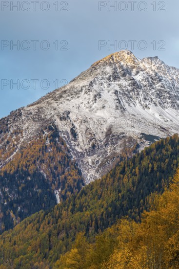 Mixed forest with larch trees (Larix) in autumn, mountain peaks with snow, autumn, Piz Chaste, Guarda, Engadin, Grisons, Switzerland