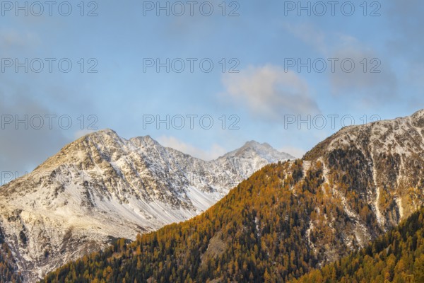 Mixed forest with larch trees (Larix) in autumn, mountain peaks with snow, autumn, Piz Chaste, Guarda, Engadin, Grisons, Switzerland