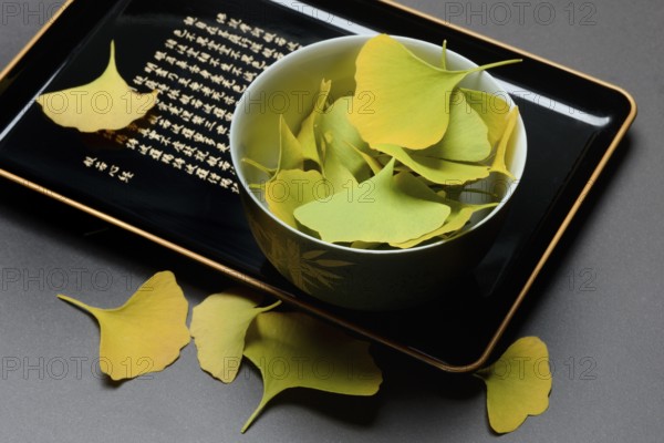 Ginkgo leaves in shell on tray, ginkgo biloba