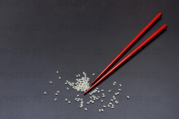 Rice and chopsticks, Oryza